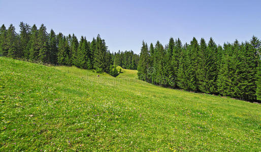 法国阿尔卑斯山美丽的夏季风景