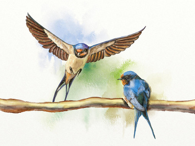 公司 分支 可爱的 鸟类 栖息 飞行 春天 轮廓 鸟类学