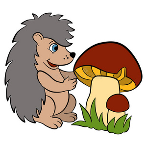 卡通野生动物给孩子. 小可爱的刺猬.照片