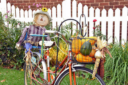 骑自行车的秋稻草人