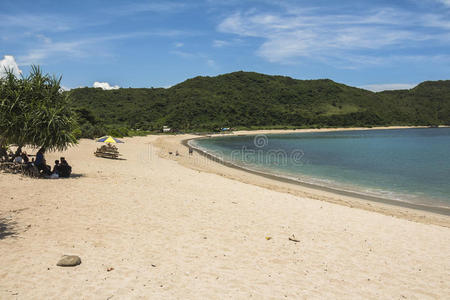 公司 海岸线 假日 孤独的 吉利 海景 海洋 美女 美丽的