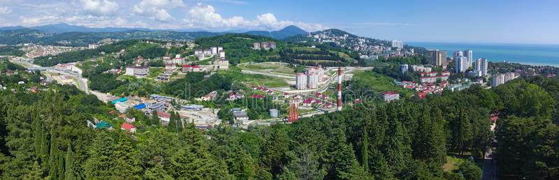 海岸线 公寓 索契 旅行 地平线 求助 柏树 风景 高加索