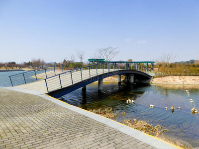 娱乐 外部 情节 亚洲 植物 上海 场景 风景 草皮 天空