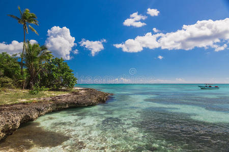美丽的 假日 海湾 海滩 公司 椰子 索纳 地平线 天堂