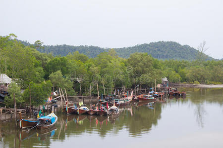 海湾 码头 生活 美丽的 反射 运输 港口 旅行 长的 房子