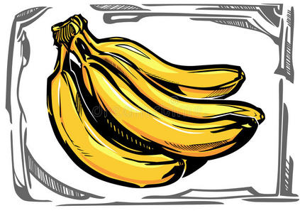 概述香蕉图片