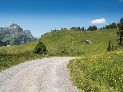 自然 风景 土地 环境 小山 奥地利 健康 近的 空气 欧洲