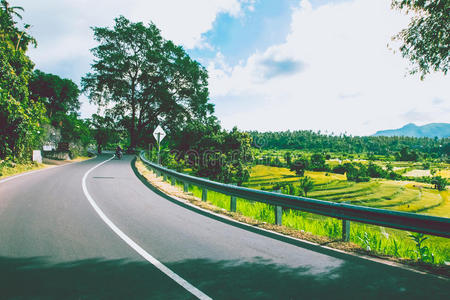 小型摩托车 亚洲 植物 巴厘岛 美丽的 大米 风景 旅行