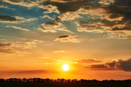 太阳 对比 夏天 特写镜头 阴影 天空 春天 阳光 低的