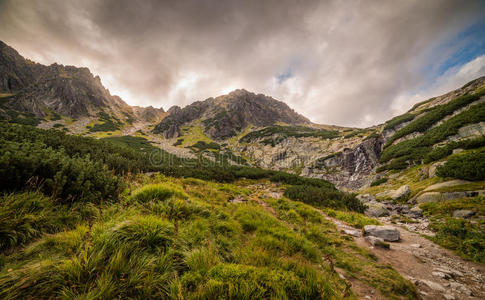 松木 闪耀 小山 美丽的 公司 自然 徒步旅行 风景 天空