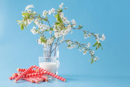 果园 花园 四月 花瓣 植物区系 小孩 薄雾 花束 模糊