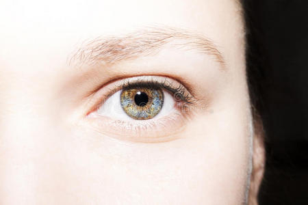 美丽的洞察力，蓝色的绿色棕色女人眼睛