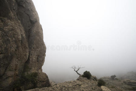 俄罗斯 风景 高的 徒步旅行 岩石 克里米亚 自然 美女