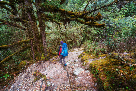 男人 自然 干城章嘉峰 徒步旅行者 旅行 丛林 健康 活动