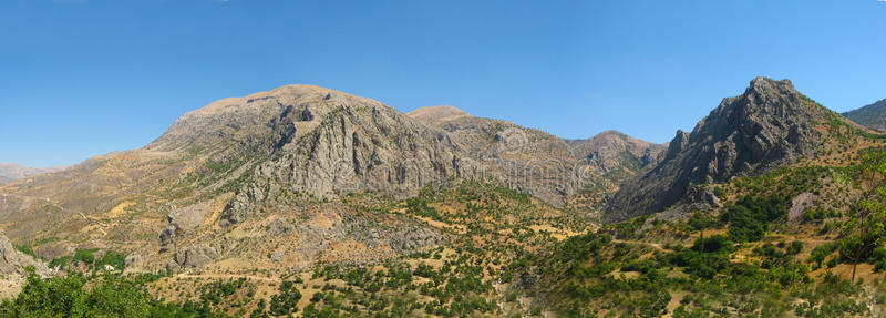 土地 徒步旅行 全景 非洲 灌木 反渗透 全景图 自然 峡谷