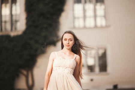 漂亮的女孩，长头发的模特在柱子附近的旧城堡里摆姿势。 克拉科夫瓦维尔