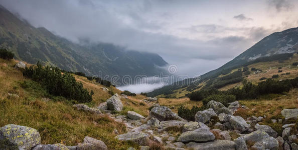 雾山景观