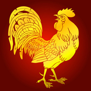 火红色的公鸡公鸡图片