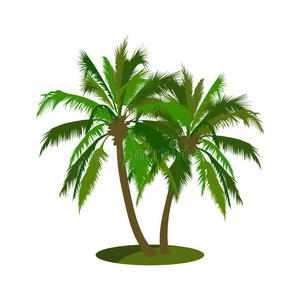 椰子树矢量插图