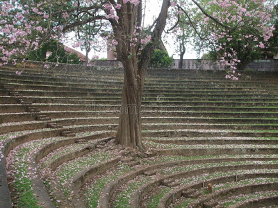 背景性质