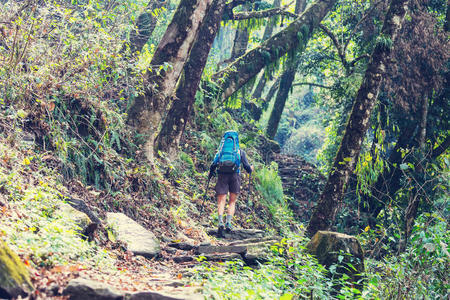 尼泊尔人 闲暇 冒险 男人 运动 干城章嘉峰 背包 徒步旅行