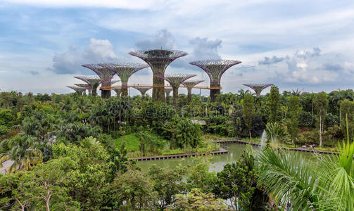 建筑学 美女 树林 吸引力 地标 超级树 新加坡 花园 回收