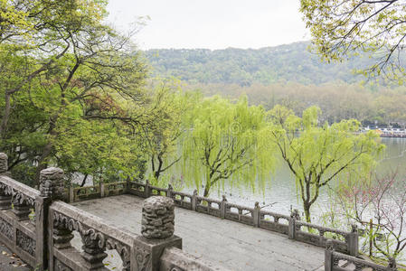 植物 小山 历史 花园 环境 杭州 美丽的 场景 风景 自然