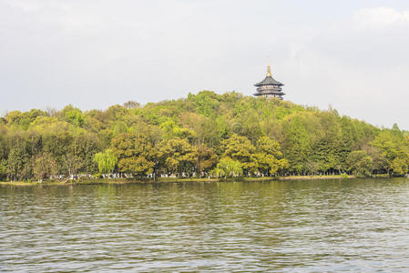 绿树和雷峰塔