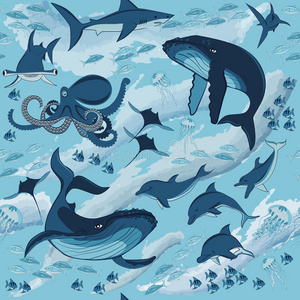 海的 鱼类学 哺乳动物 鲨鱼 海洋 海豚 章鱼 动物 水族馆