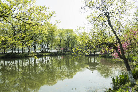 园艺 春天 风景 场景 堤道 亚洲 植物 特雷 中国人 形象