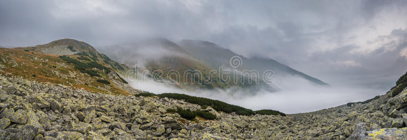 雾山景观