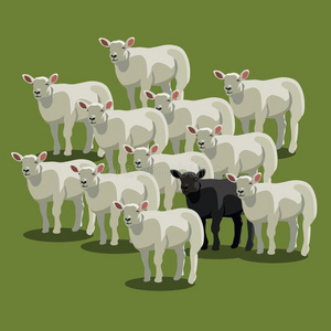 动物羊黑在绿色,害群之马照片