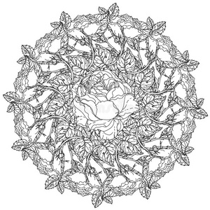 曼陀罗 幻想 艺术 奢侈 花的 绘画 邀请 轮廓 成人 插图