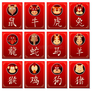 老虎与兔子中国十二生肖与书法象形文字照片