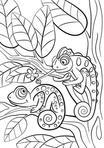 野生动物. 两个可爱的变色龙.照片