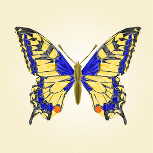 蓝色三角形蝴蝶图片