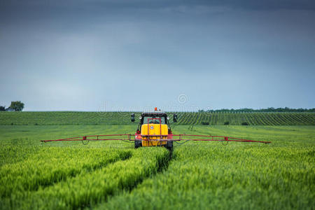 农用拖拉机在麦田上耕作和喷洒