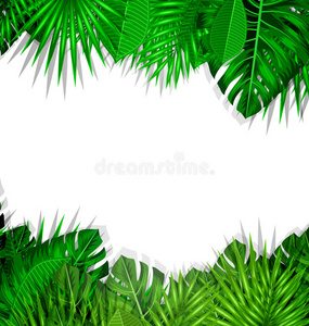 框架热带树叶夏季背景