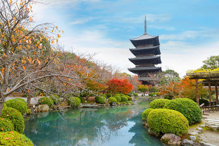 京都托吉寺五彩缤纷的秋天