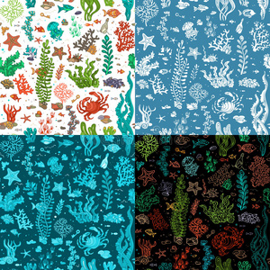 水母 卡通 珊瑚 海的 生活 深的 五颜六色 海洋 无边