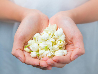 亚洲女人手捧白色茉莉花照片