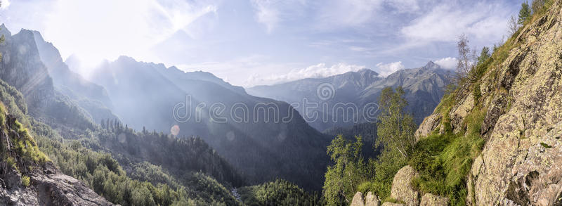 森林 全景 徒步旅行 全景图 公司 美丽的 风景 阿尔卑斯山