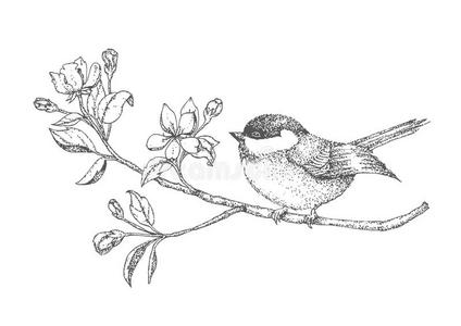 树枝上的鸟，用手画花。 带有鸟的古董卡。 矢量插图