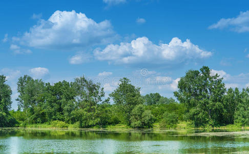 热的 自由的 风景 夏季 灌木 美女 夏天 颜色 自由 旅行者