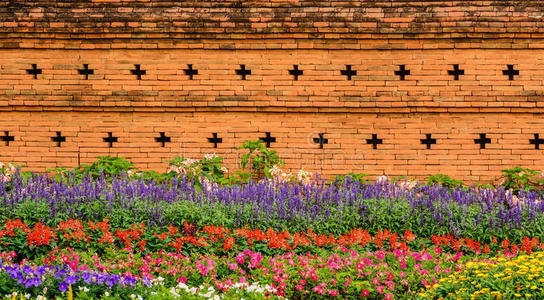 花园里有花，靠近旧的红色砖墙