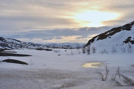 冻结 蔚蓝 全景图 冰川 情绪 挪威 悬崖 照片 寒冷的