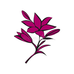公司 复兴 植物 自然 轮廓 花的 美丽的 开花 插图 要素