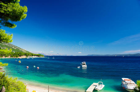 美丽的夏季亚得里亚海海岸线景观与松树游艇和船只，岛布拉克，克罗地亚