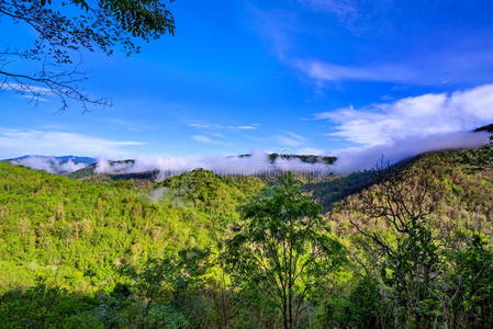 黄昏 阳光 全景 云景 地标 风景 森林 薄雾 范围 天空