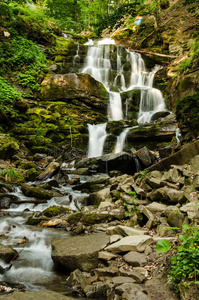 公园 植物 风景 草地 环境 颜色 领域 形象 云景 摄影